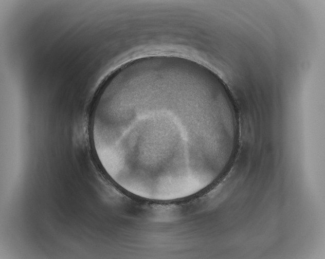 X0000111361498200907101220