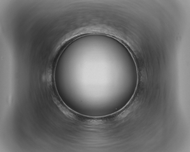 X0000111361499200907101220