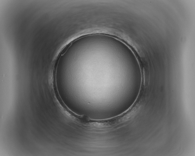 X0000111361500200907101220