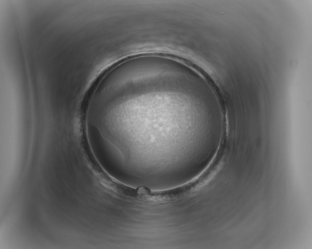 X0000111361501200907101220