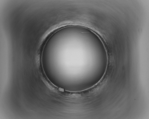 X0000111361503200907101220