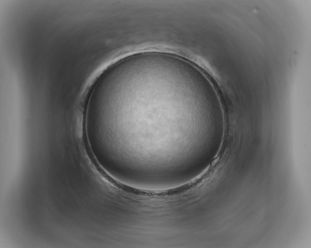 X0000111361504200907101220