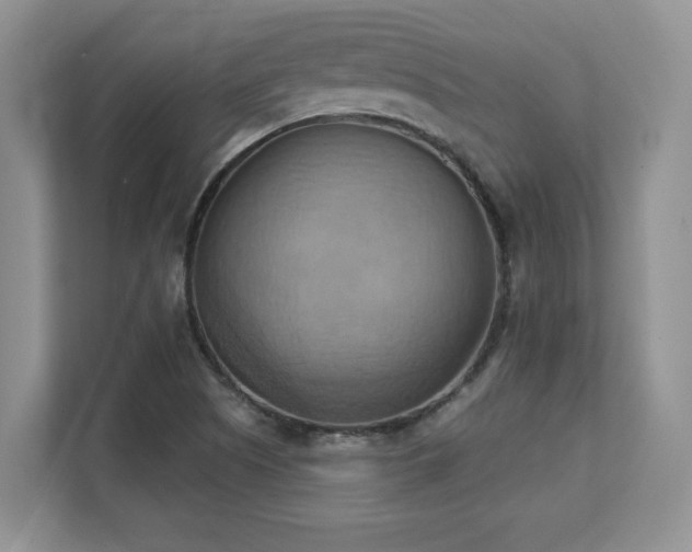 X0000111361505200907101220