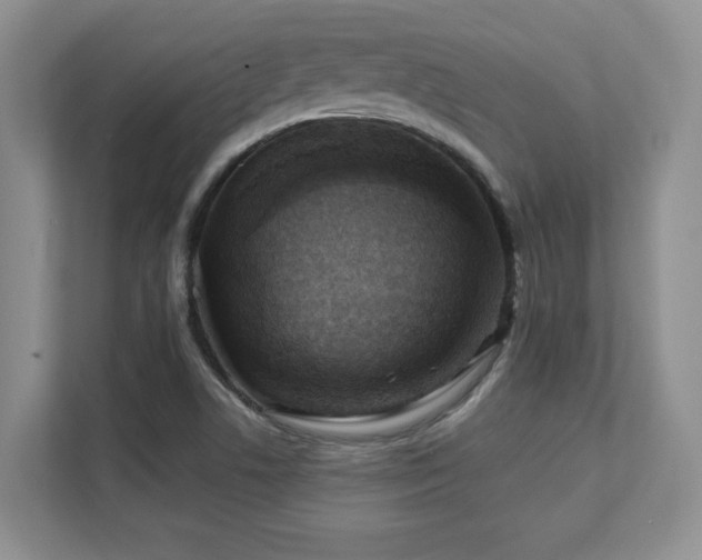 X0000111361506200907101220