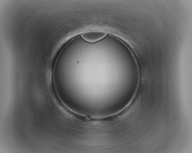 X0000111361507200907101220