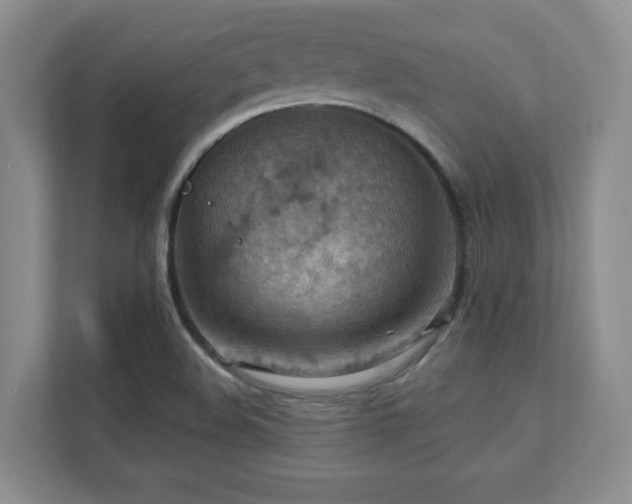 X0000111361508200907101220
