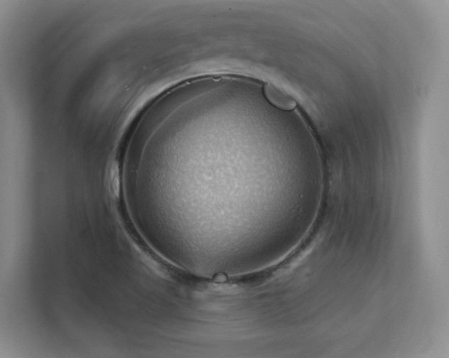 X0000111361509200907101220