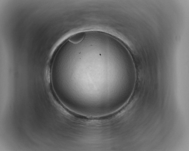 X0000111361510200907101220