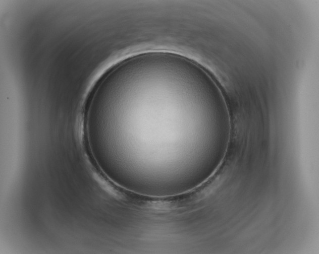 X0000111361511200907101220