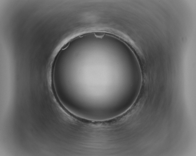 X0000111361512200907101220