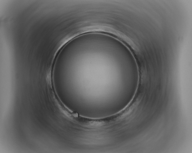 X0000111361513200907101220