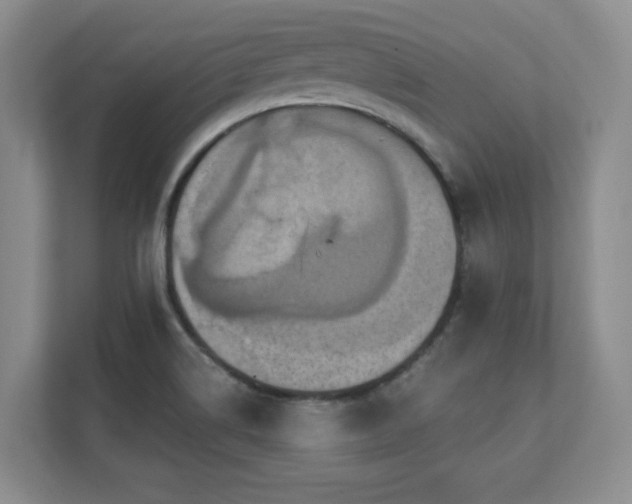 X0000111361514200907101220