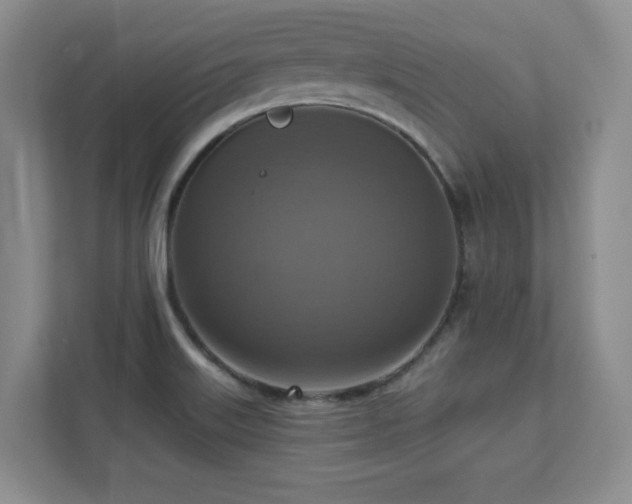 X0000111361515200907101220