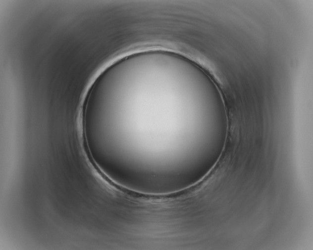 X0000111361516200907101220