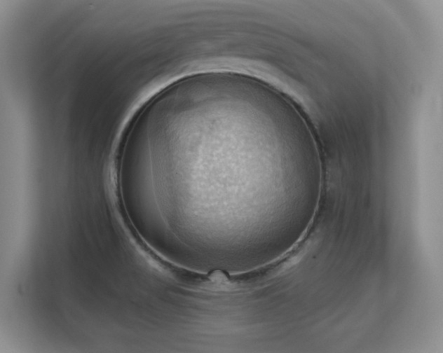 X0000111361517200907101220
