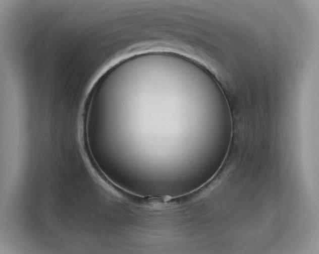 X0000111361518200907101220