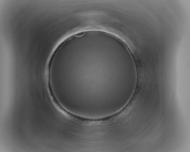 X0000111361519200907101220