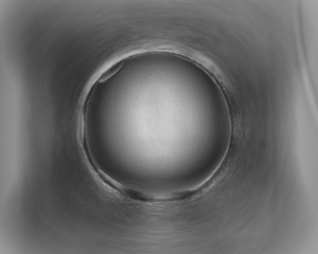 X0000111361520200907101220