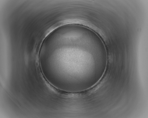 X0000111361521200907101220