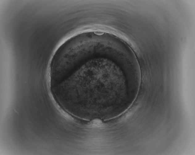 X0000111361522200907101220