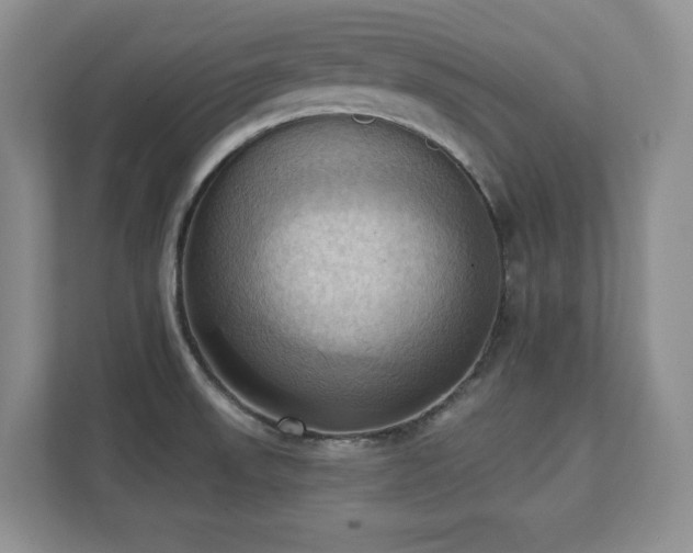 X0000111361523200907101220