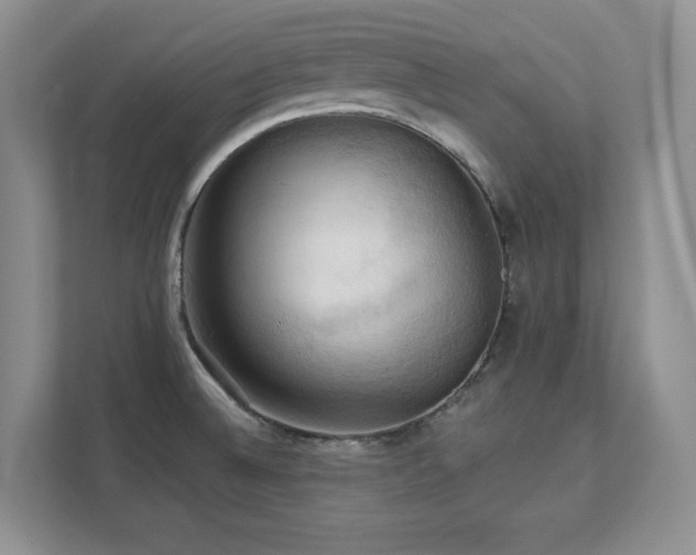 X0000111361524200907101220
