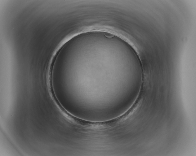 X0000111361525200907101220