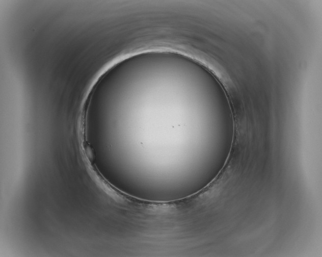 X0000111361526200907101220