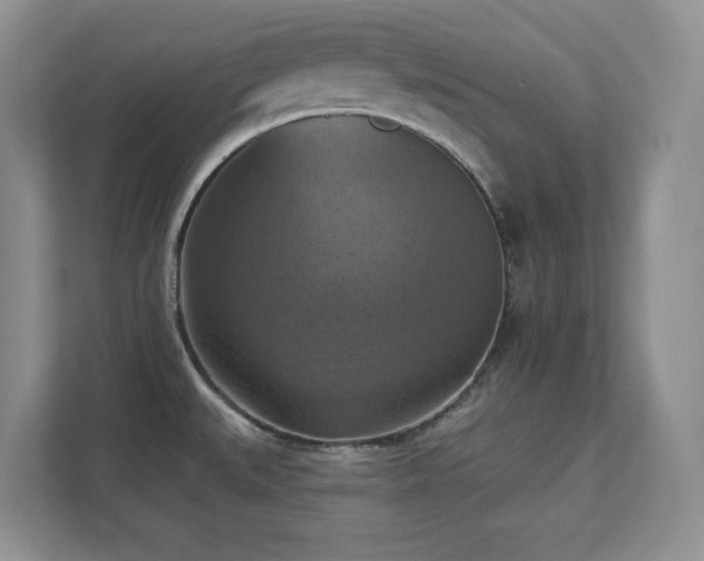 X0000111361527200907101220