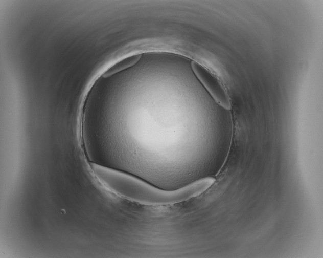 X0000111361528200907101220