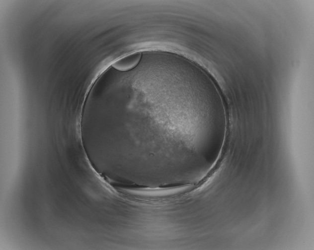 X0000111361529200907101220