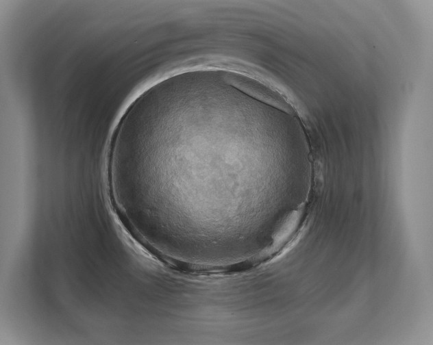 X0000111361530200907101220