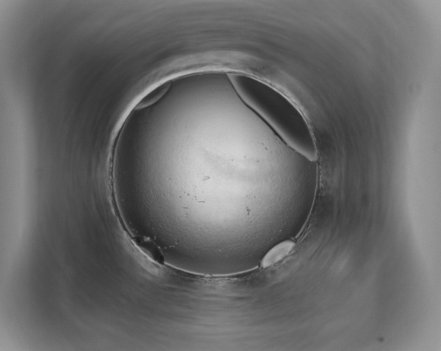 X0000111361532200907101220