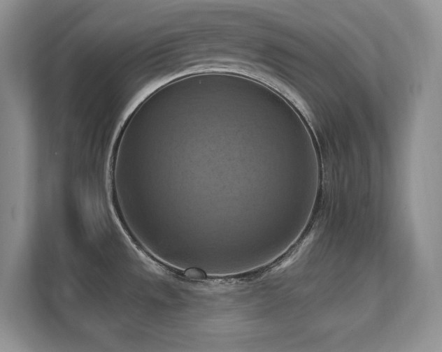 X0000111361533200907101220