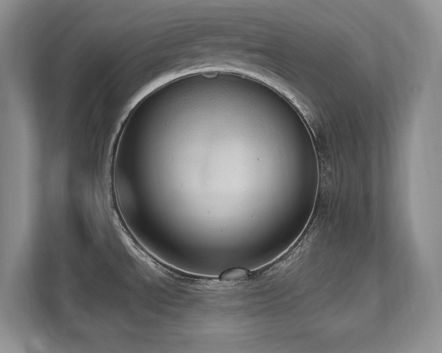 X0000111361534200907101220