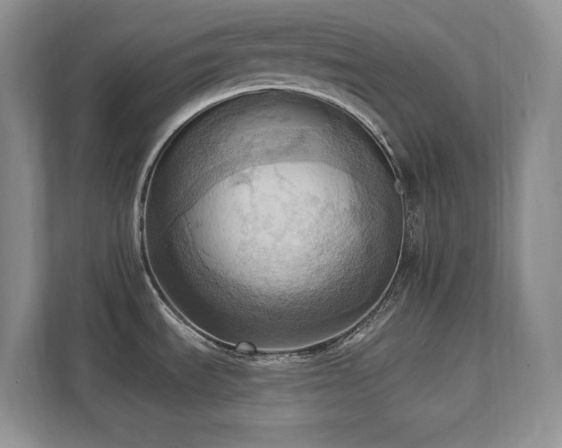 X0000111361535200907101220