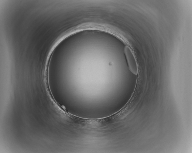 X0000111361536200907101220