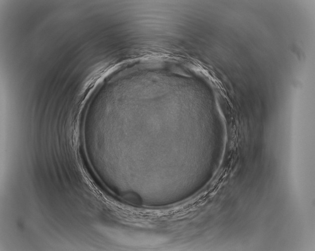 X0000111360002200907171213