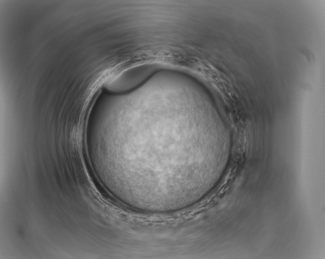 X0000111360003200907171213