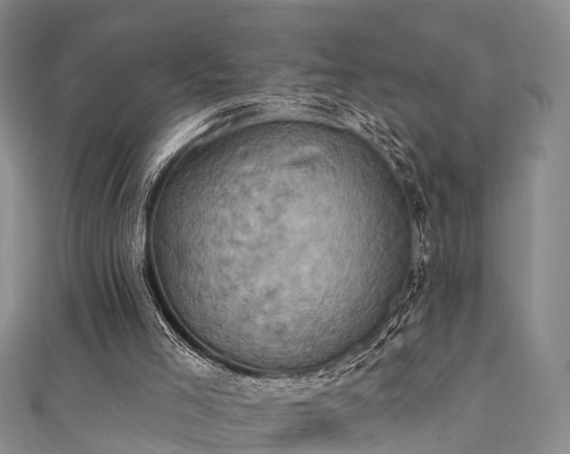 X0000111360005200907171213