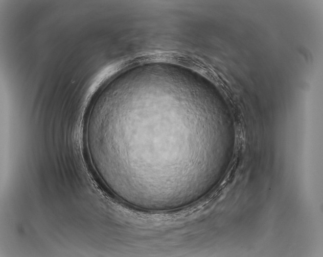 X0000111360006200907171213