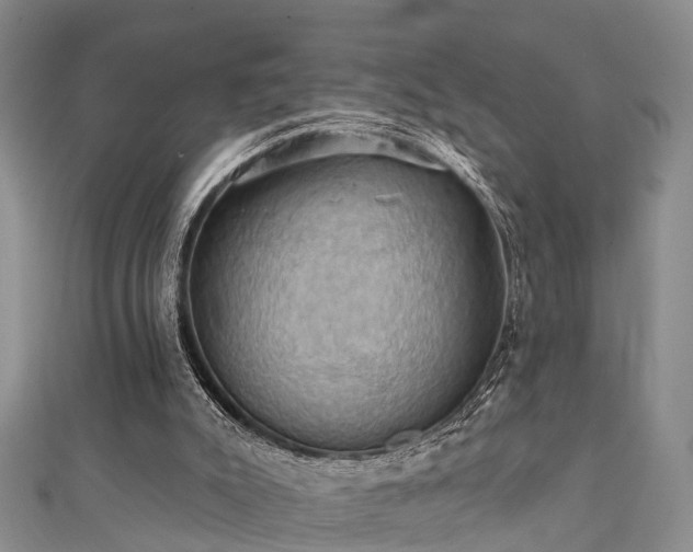 X0000111360007200907171213