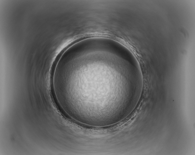 X0000111360008200907171213
