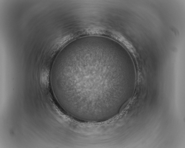 X0000111360009200907171213