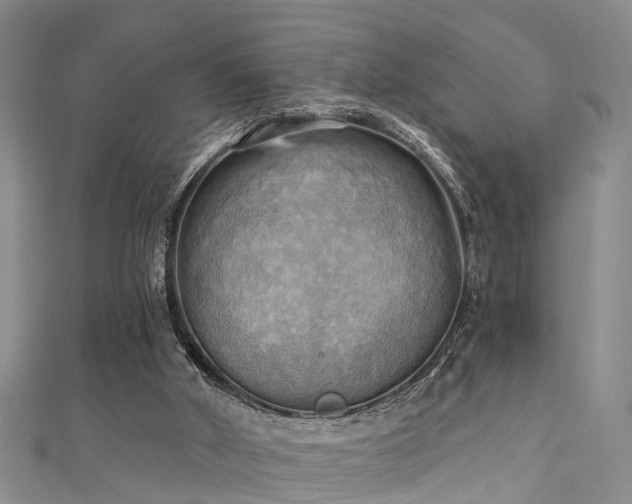 X0000111360010200907171213