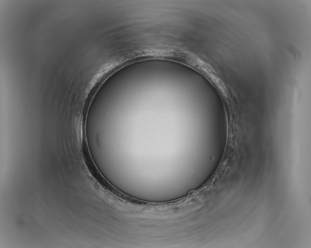 X0000111360011200907171213