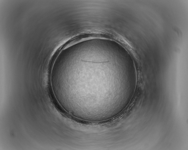 X0000111360012200907171213