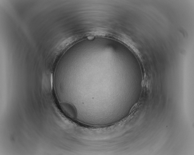 X0000111360013200907171213