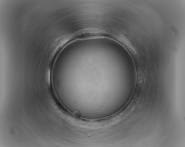 X0000111360014200907171213