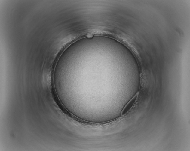 X0000111360015200907171213